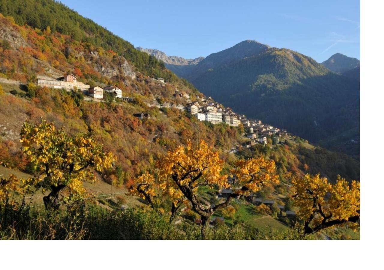 Le cocon du Catogne proche Martigny Verbier - Netflix - Valettes Extérieur photo