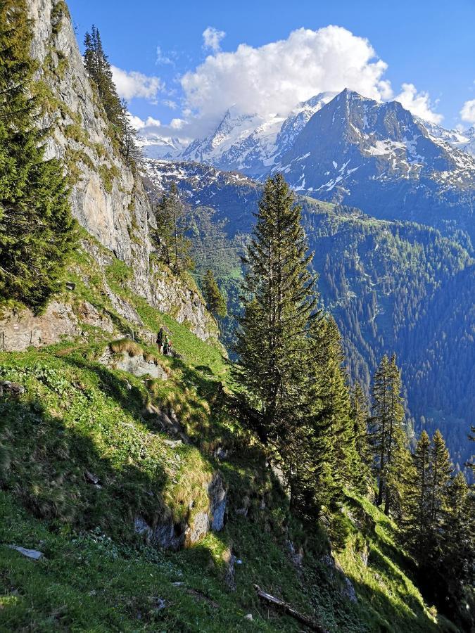 Le cocon du Catogne proche Martigny Verbier - Netflix - Valettes Extérieur photo